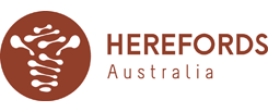 Herefords Australia